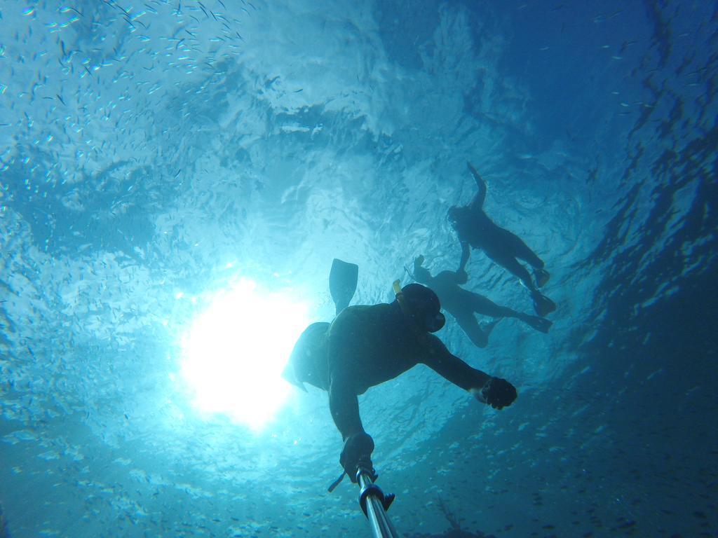 Fish Tobago Guesthouse Buccoo Luaran gambar