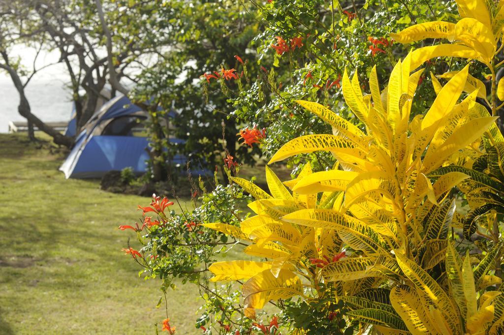 Fish Tobago Guesthouse Buccoo Luaran gambar